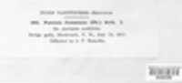 Image Associated With the Occurence